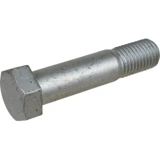 Skrūve 24 x 107 SW36 n. ZN GE 00310058 Horsch