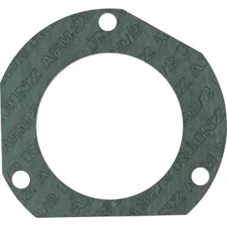 Exhaust Gasket  385202100030 Fendt (AGCO)