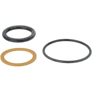 Seal kit  F718960100010 Fendt (AGCO)