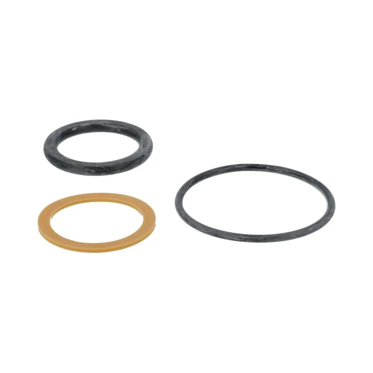 Seal kit  F718960100010 Fendt (AGCO)