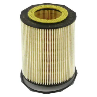 Fuel filter  F716201060070 Fendt (AGCO)