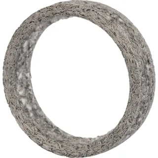 Seal  F842201110170 Fendt (AGCO)