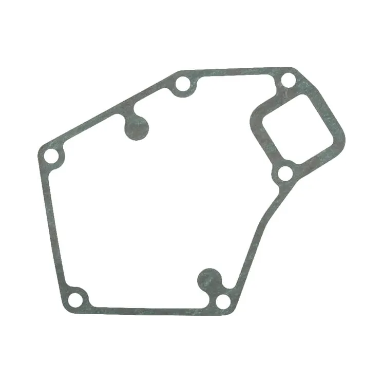 Water pump gasket  F824200610030 Fendt (AGCO)