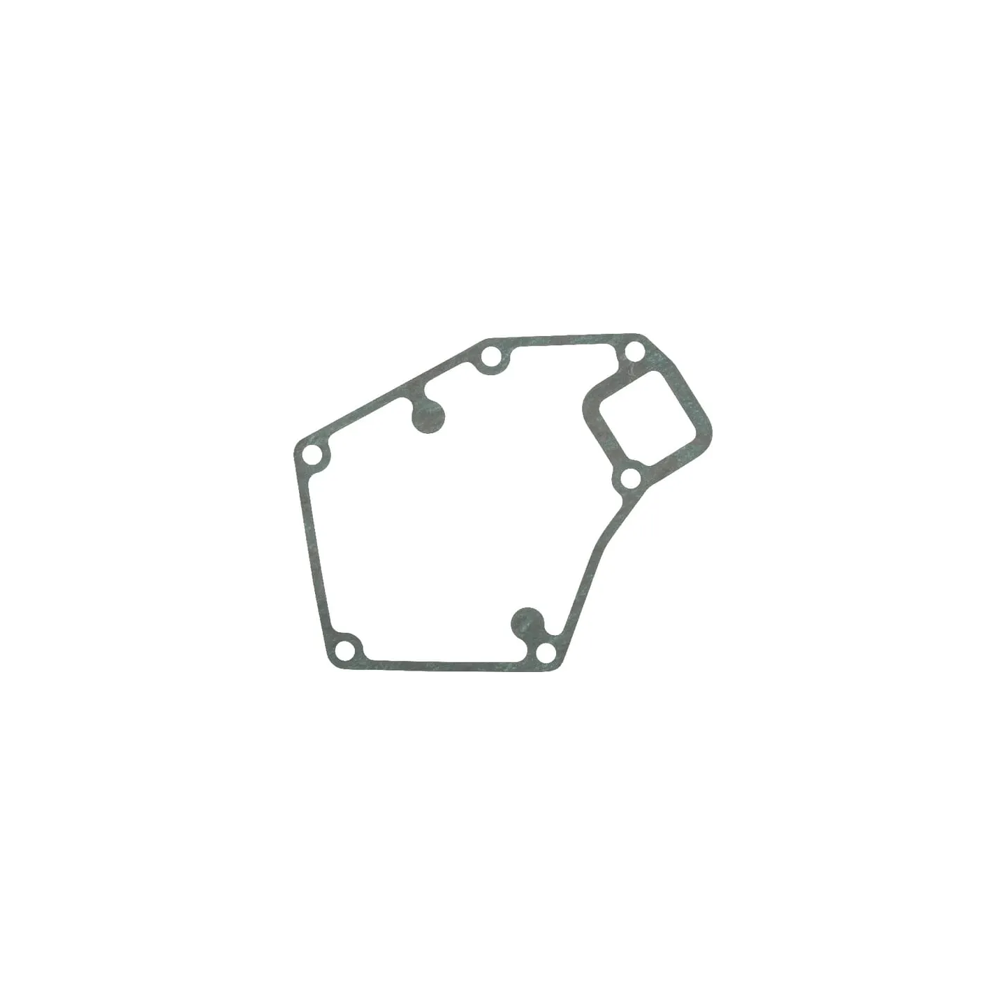 Ūdens sūkņa blīve F824200610030 Fendt (AGCO)