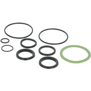 Seal kit  F822100070020 Fendt (AGCO)
