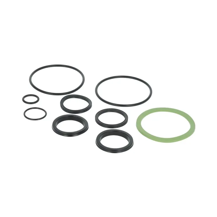 Seal kit  F822100070020 Fendt (AGCO)