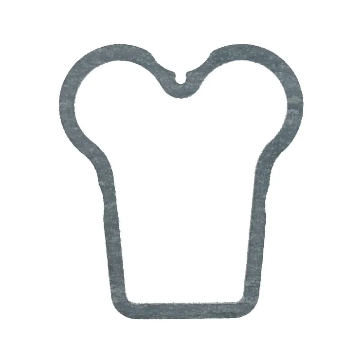 Rocker cover gasket  F385200210171 Fendt (AGCO)