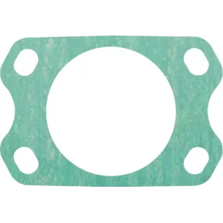 Fuel Injection Pump Gasket  F139200710020 Fendt (AGCO)