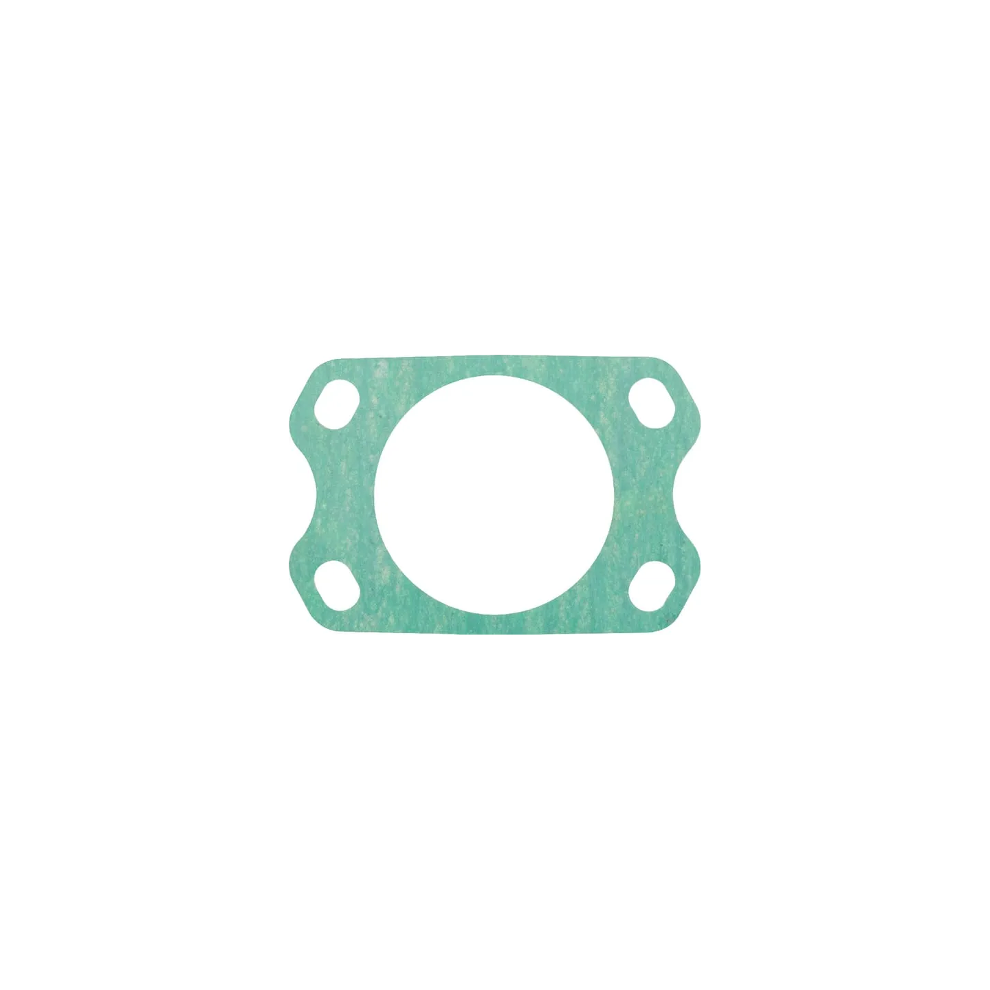 Fuel Injection Pump Gasket  F139200710020 Fendt (AGCO)
