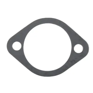 Camshaft cover gasket  F199201310020 Fendt (AGCO)