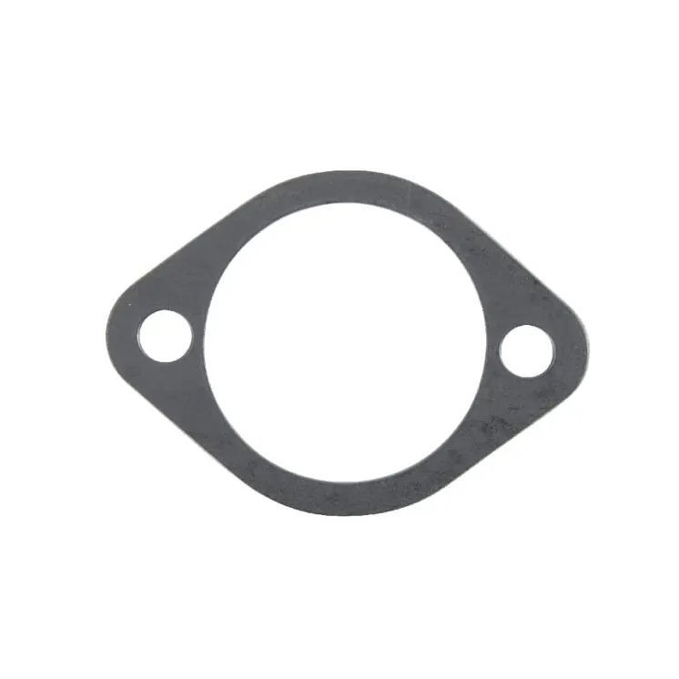 Camshaft cover gasket  F199201310020 Fendt (AGCO)