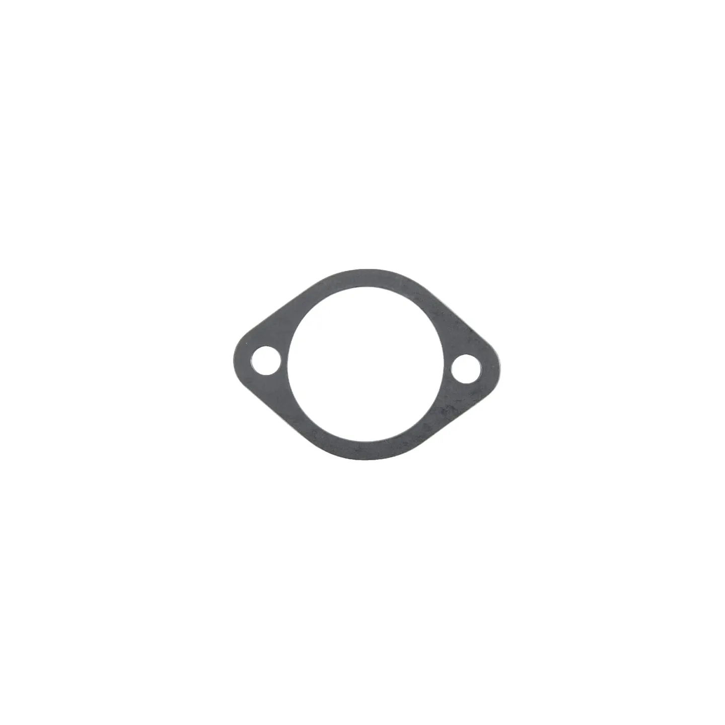 Camshaft cover gasket  F199201310020 Fendt (AGCO)