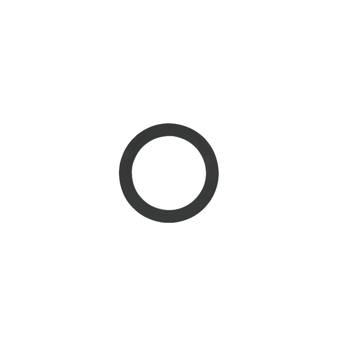 Fuel cap gasket  F180200060050 Fendt (AGCO) F180200060060