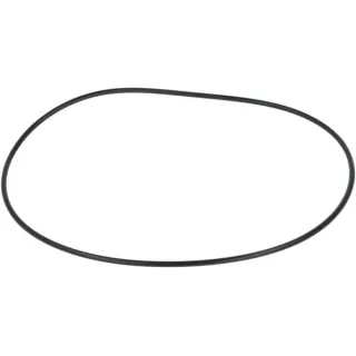 Seal  F119200310200 Fendt (AGCO)