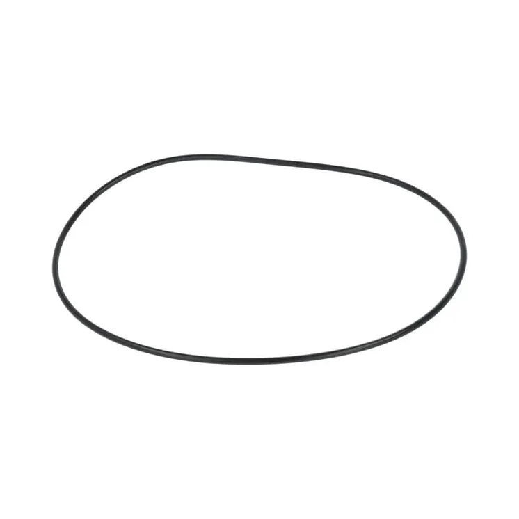 Seal  F119200310200 Fendt (AGCO)