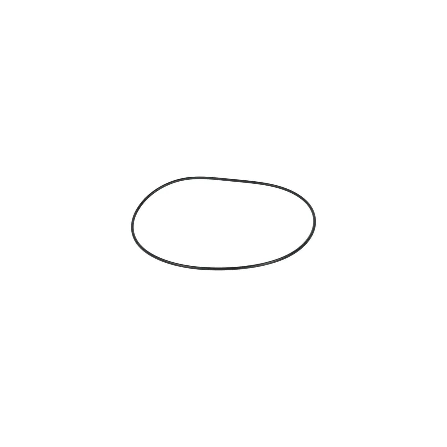 Seal  F119200310200 Fendt (AGCO)