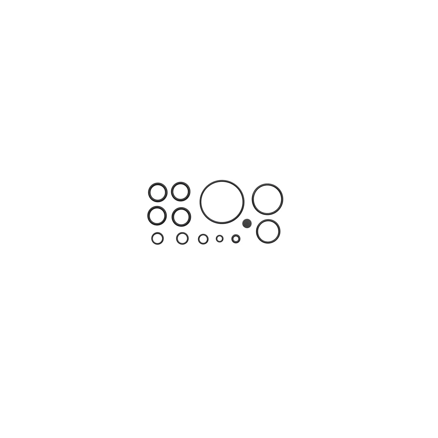 Seal kit  F268860130030 Fendt (AGCO)