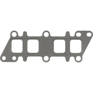 Seal  F339202100050 Fendt (AGCO)