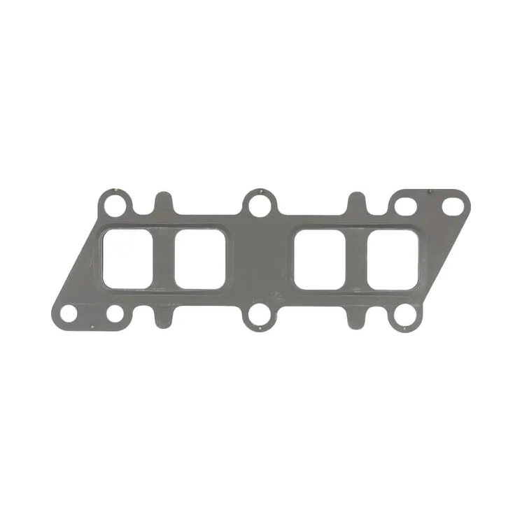 Seal  F339202100050 Fendt (AGCO)