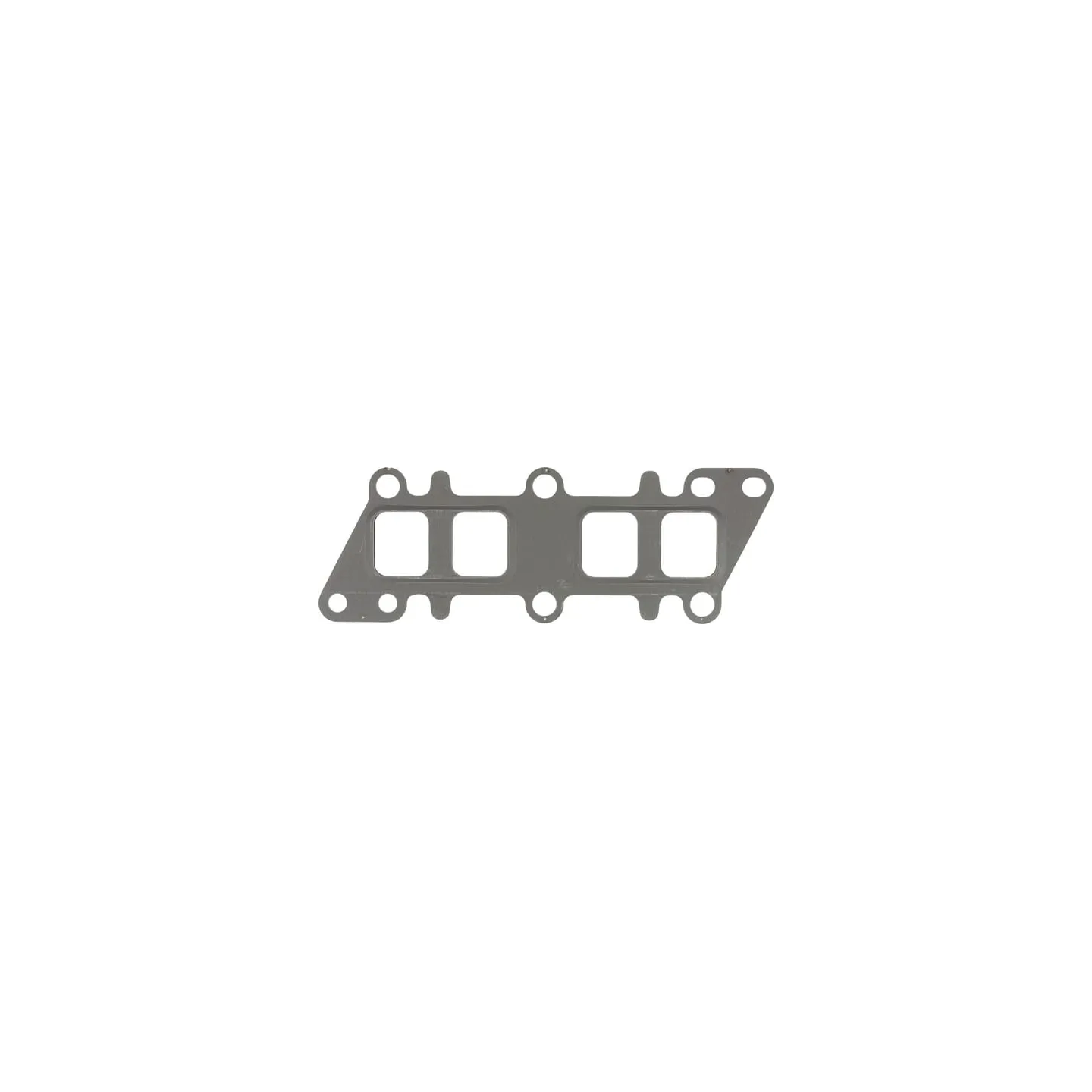 Seal  F339202100050 Fendt (AGCO)
