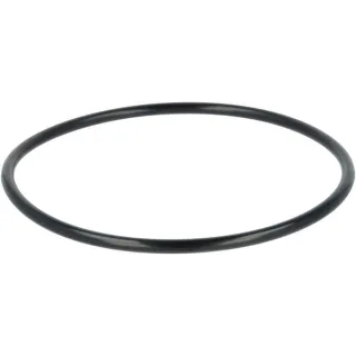 O-ring  F339860060010 Fendt (AGCO)