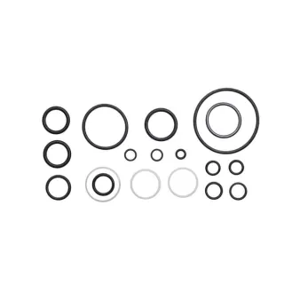 Seal kit  F178960021010 Fendt (AGCO)