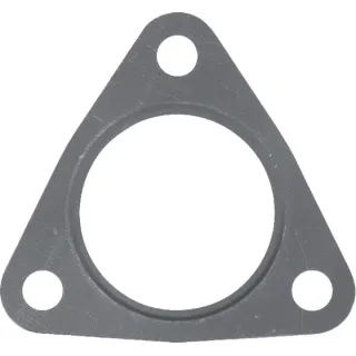 Seal  F119200100030 Fendt (AGCO)