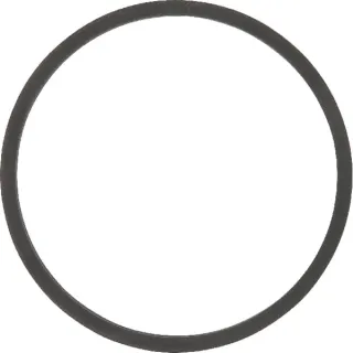 Thermostat Gasket  F119200050050 Fendt (AGCO)