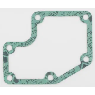 Water pump housing gasket  F139207210051 Fendt (AGCO)