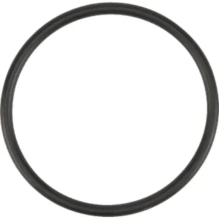 Thermostat Gasket  F291200610120 Fendt (AGCO)