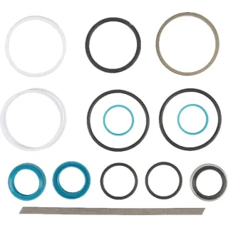 Steering cylinder seal Kit  G001990010020 Fendt (AGCO)