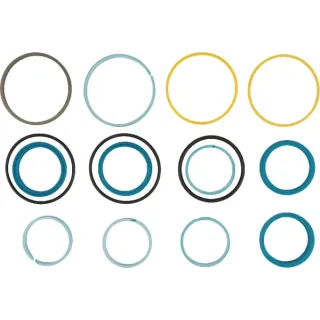 Steering cylinder seal Kit  G001990011200 Fendt (AGCO)