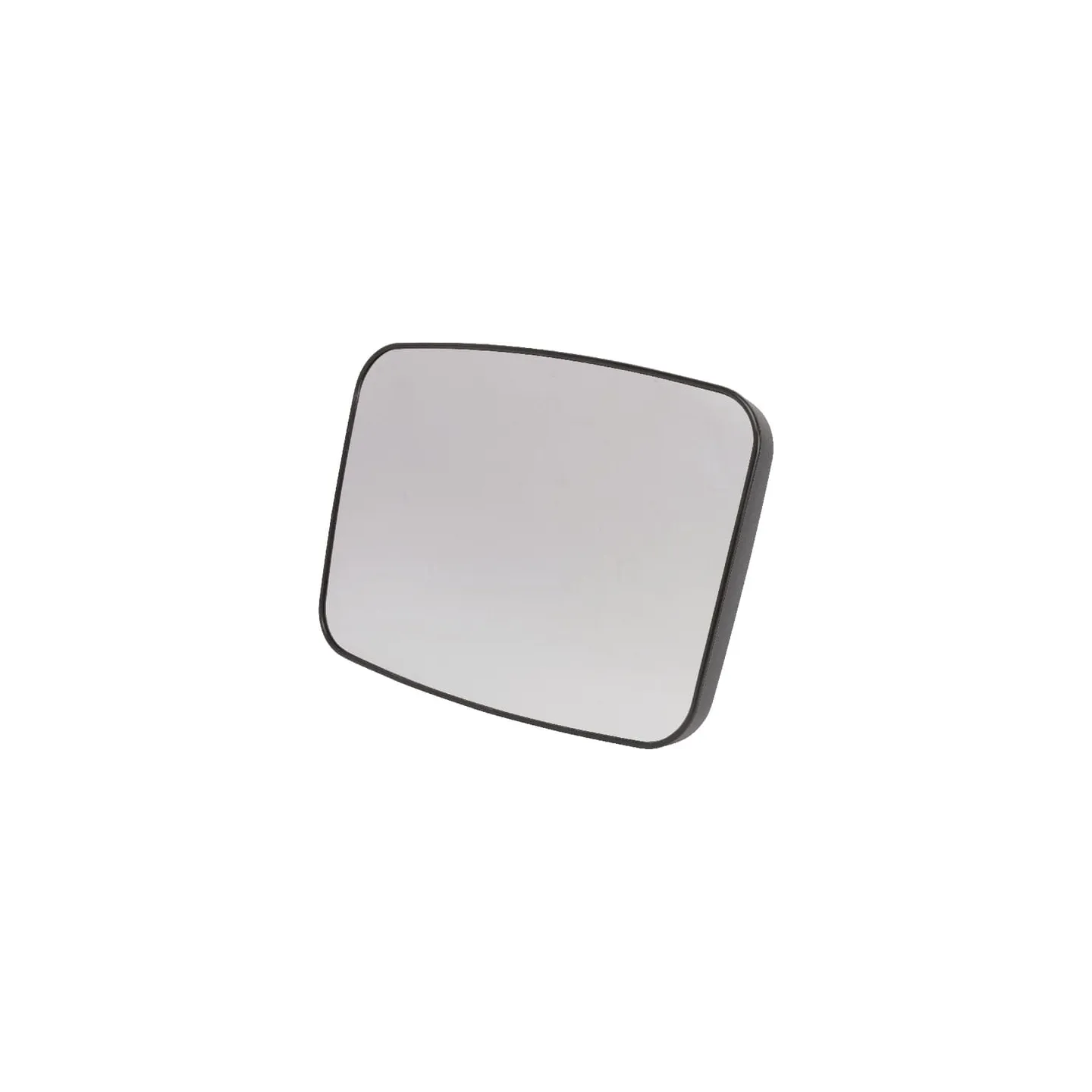 Mirror Complete  G737812151020 Fendt (AGCO)