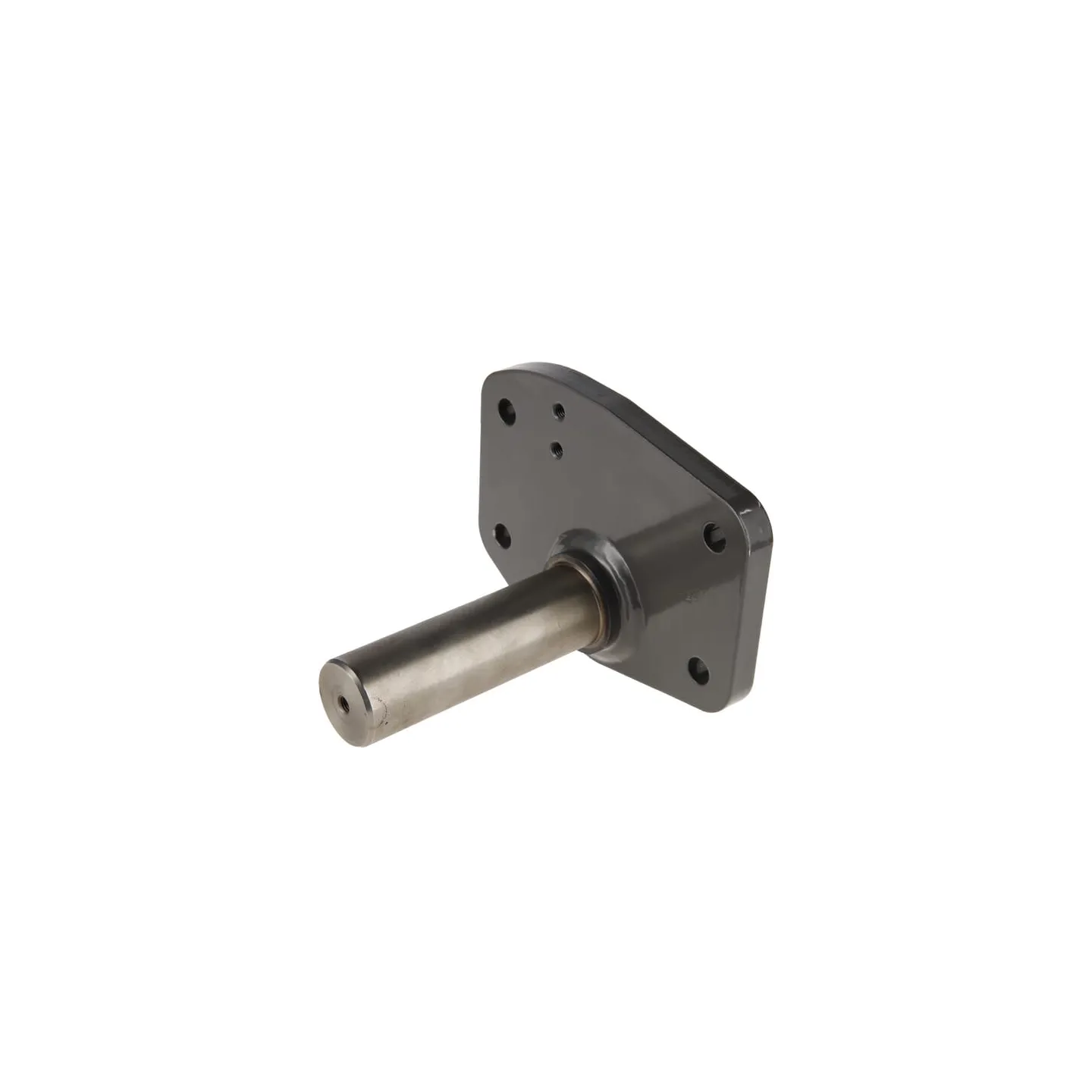 Bearing pin  H931700030050 Fendt (AGCO)