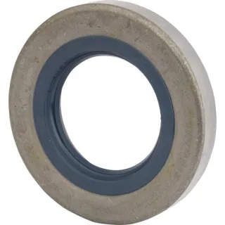 Shaft seal  X552170102000 Fendt (AGCO)