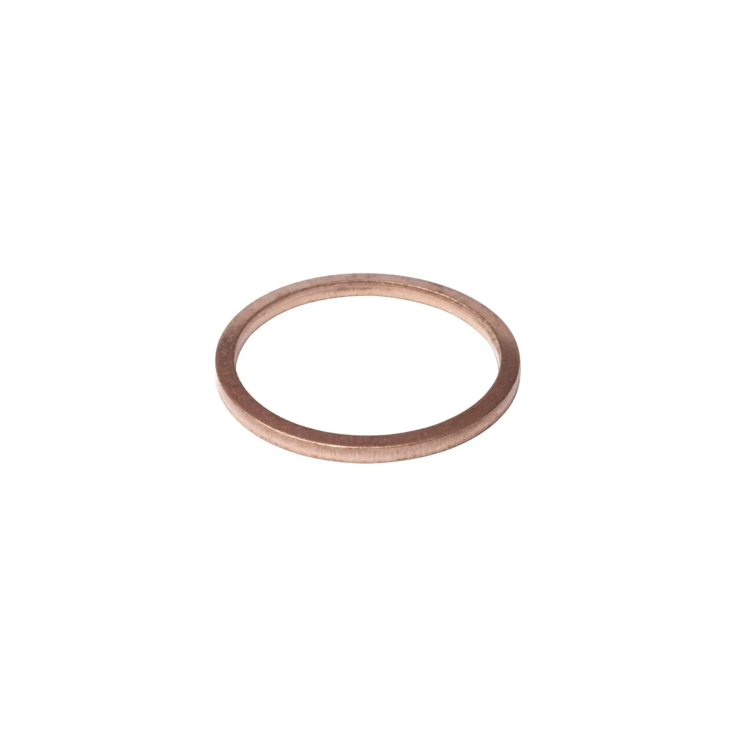 Termostata blīve X540008278000 Fendt (AGCO)