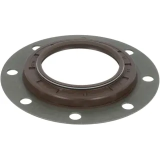 Shaft seal  X550110200000 Fendt (AGCO)