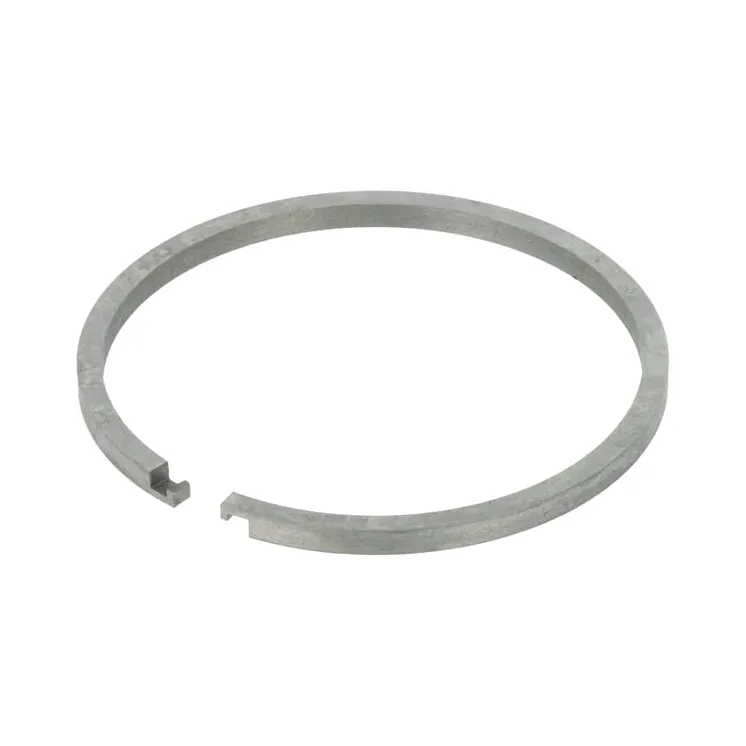 Ring  X560703600000 Fendt (AGCO)