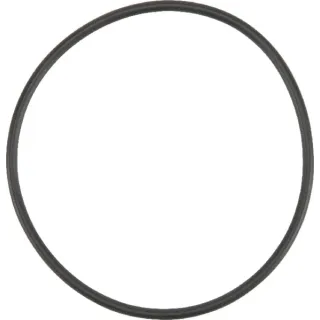 O-ring  X548953166000 Fendt (AGCO)