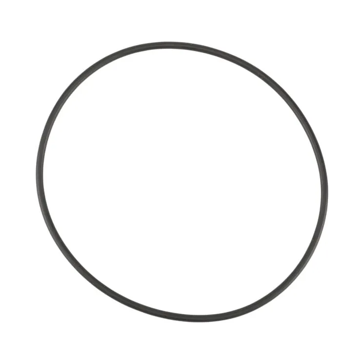 Oil Seal  X548987066000 Fendt (AGCO)