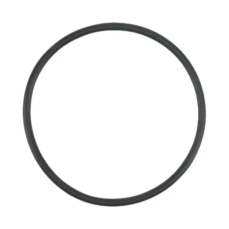 O-ring  X548941966000 Fendt (AGCO)