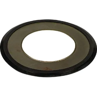 Sealing Washer  41652369300 Kongskilde