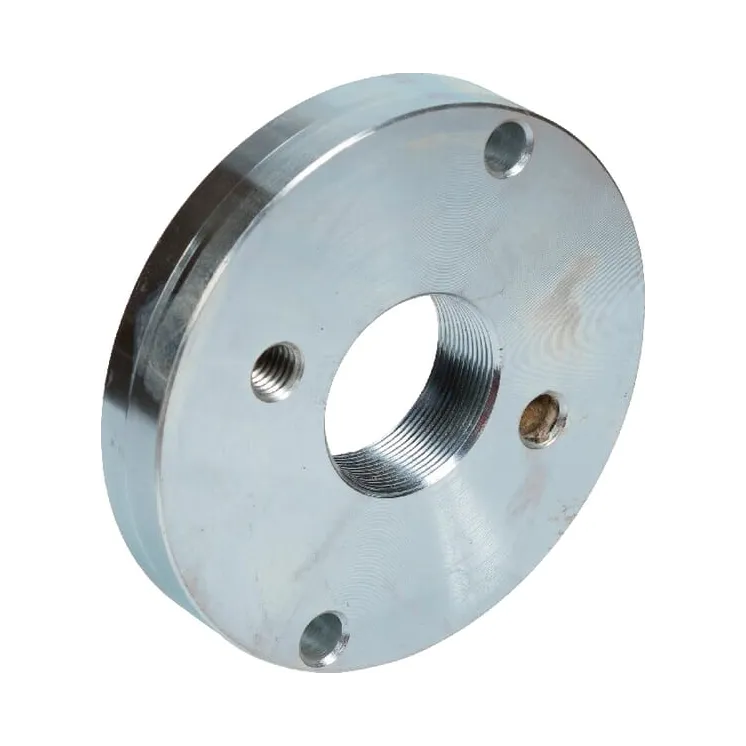 Lock plate  41659649900 Kongskilde