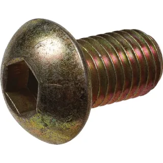 M12 X 20 Dome Head Screw  71304412205 Howard 8112190289