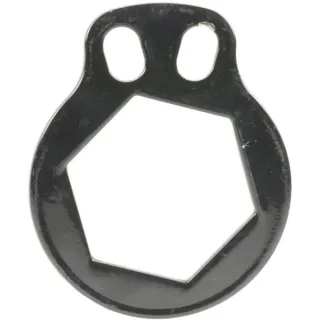 Locking Plate  71918839800 Howard