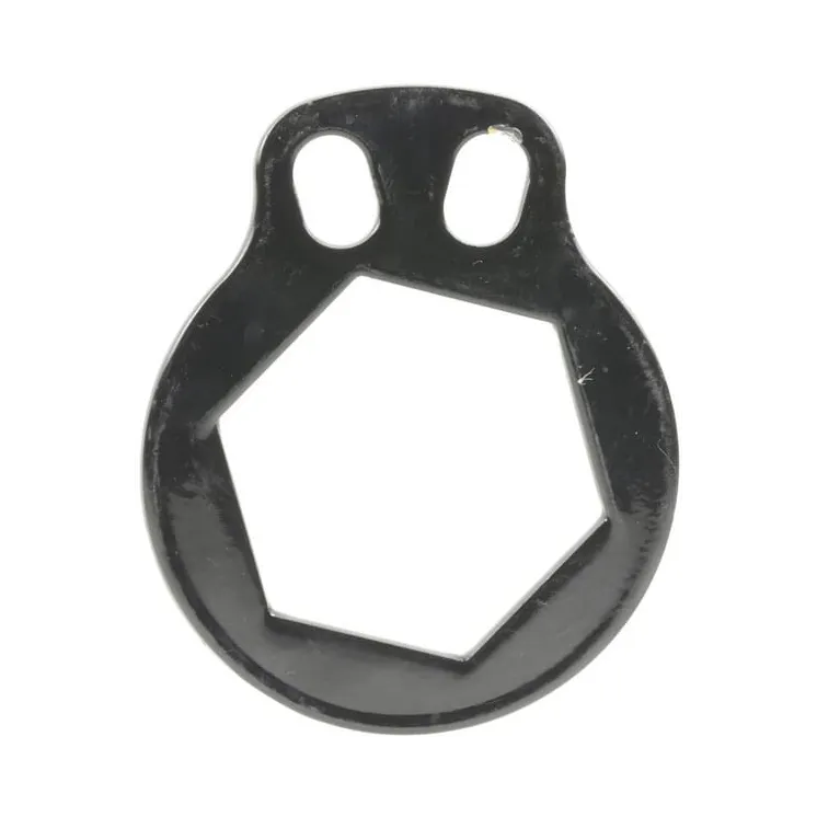 Locking Plate  71918839800 Howard