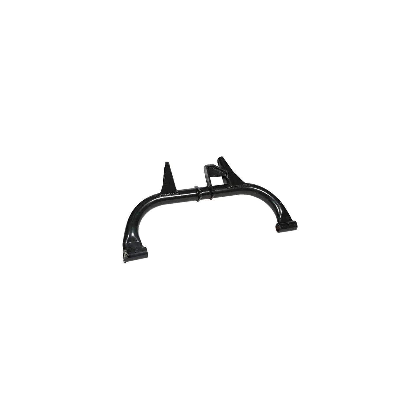 Ass svira 810671262 JF