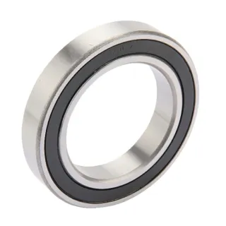 Roller bearing  810496840 JF