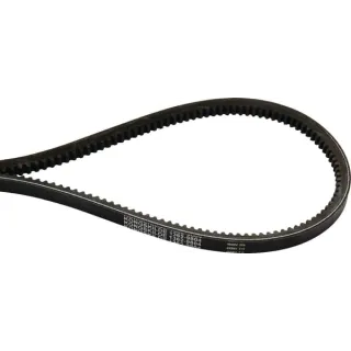 V-Belt Set (3 Pcs)  8113629805 JF 13629805