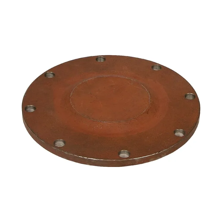Cover  8113159318 JF